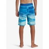 Boy's Big Everyday Fade Printed Board Shorts - Quicksilver - 3 of 4