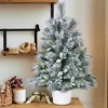 NAYSAYE 2ft Tabletop Christmas Tree with Eucalyptus and Pine Needle Accents for Indoor and Outdoor Decoration, Green and White, 14"*17"*24" - 2 of 4