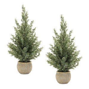 Potted Mini Pine Tree (Set of 2) - 1 of 3