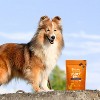 Zesty Paws 8-in-1 Multivitamin Bites for Dog Chicken Flavor - 60ct - image 4 of 4