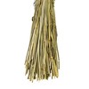 Vickerman 26" Dried Phalaris Bunch, 7 oz - 3 of 3