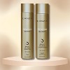 Lanza Healing Blonde Bright Blonde Shampoo (10.1oz) & Bright Blonde Conditioner (8.5oz) DUO SET - Removes Dullness, Adds Shine & Protects Blonde Tone - 2 of 2