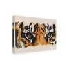 Trademark Fine Art -Barbara Keith 'Eye Catching Tiger' Canvas Art - 4 of 4