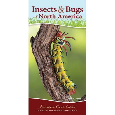 Insects & Bugs of North America - (Adventure Quick Guides) by  Jaret C Daniels (Spiral Bound)