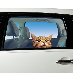 Collections Etc Whimsical Cat Face Vinyl Window Decal Brown - 1 of 2