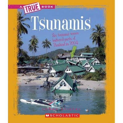 Tsunamis (a True Book: Earth Science) - (A True Book: Earth Science) by  Chana Stiefel (Paperback)