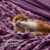 Bedsure- Cloud Soft PV Blanket ,Comfy Plush and Furry Faux Fur - 3 of 4