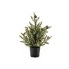 Potted Mini Pine Tree (Set of 2) - 3 of 3