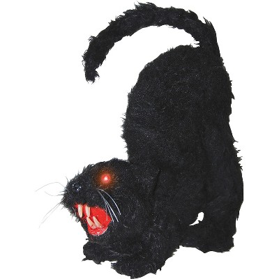 Halloween Express  11 x 9 in Light-Up Halloween Cat Decoration
