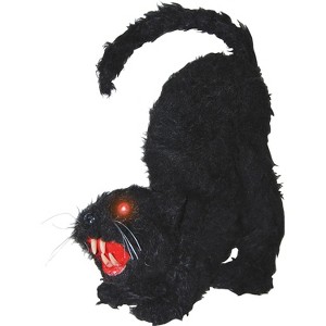Halloween Express  11 x 9 in Light-Up Halloween Cat Decoration - 1 of 2