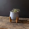 6" Decorative Metal Belle Blue Indoor Planter Pot w/ Footed Wood Stand - 2 of 4