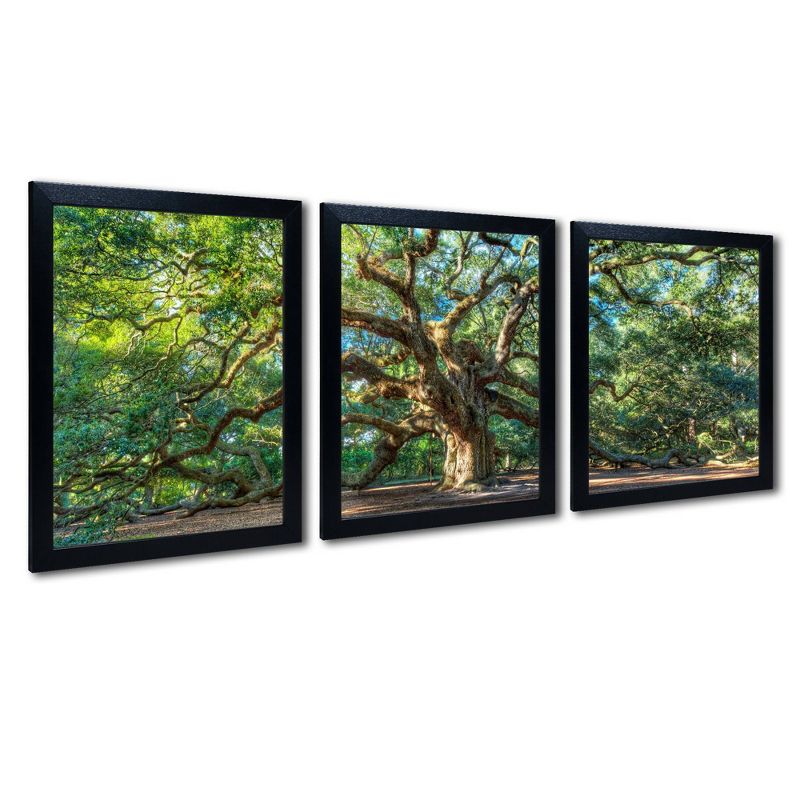 3pc Angel Oak Charleston by Pierre Leclerc - Trademark Fine Art, 3 of 6