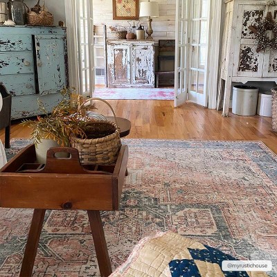 Rosman Blue and Beige Washable Vintage Area Rug