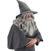 HalloweenCostumes.com One Size Fits Most   Lord of the Rings The Hobbit Gandalf Costume Hat for Adults and Teens, Gray - 3 of 4