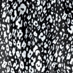 black white cheetah