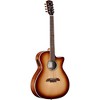 Alvarez AG60CE 8-String Grand Auditorium Acoustic-Electric Guitar Shadow Burst - 3 of 4