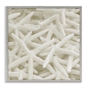 Stupell Industries Nautical White Starfish Photography Framed Giclee Art - 1 of 4