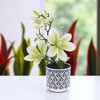 Unique Bargains Artificial Plants 3-Stem Magnolia Plastic 3.35"x3.35"x10.63" 1 Pcs - 2 of 4
