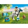 PLAYMOBIL Country Collectible Lewitzer Pony, 22 Pieces, Ages 4 and Up - 2 of 4