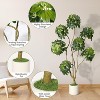 5/6/7ft Artificial Umbrella Schefflera Tree in White Pot with Multiple Trunks Design, Faux Floor Tree Fake Trees for Home Offices Porch Decor - 2 of 4