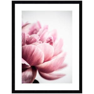 Kate and Laurel Pink Peony No1 by Mareike Bohmer Framed Wall Art Print, 19 x 25, Svelte Noir Black - 1 of 4