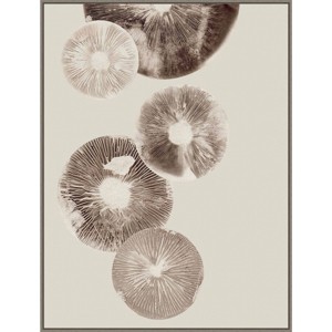 32" x 42" Mushroom 6 by Pernille Folcarelli: Abstract Botanical Canvas - Amanti Art - 1 of 4