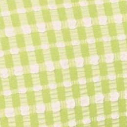 gingham- daiquiri green