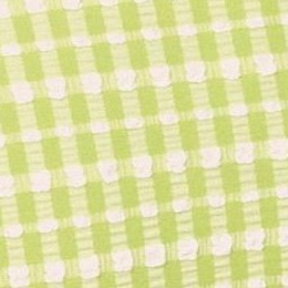 gingham- daiquiri green