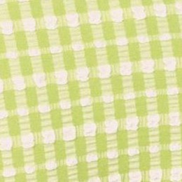gingham- daiquiri green