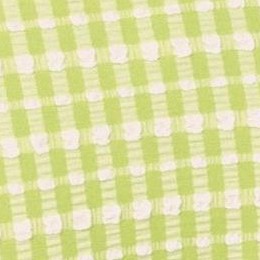 gingham- daiquiri green