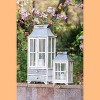 Gulches Decor: Lanterns, Ornaments, Pumpkins, Gnomes & Banners for Festive Indoor/Outdoor Decor - 3 of 4