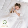 Itopfox Memory Foam Queen Mattress Topper with Shredded Foam, Cotton Cover, Breathable & Skin-Friendly, Extra Thick with Anchor Straps for Comfort - 3 of 4