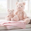 Pig Plush Animal with Mini Plush Pig Stuffed Animal Toy - Pink - 2pc -  Cloud Island™