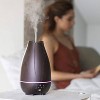 Healthsmart Aromatherapy Diffuser Cool Mist Humidifier For Essential Oils -  Brown : Target