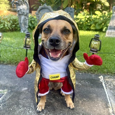 Guest review image 1 of 1, zoom in