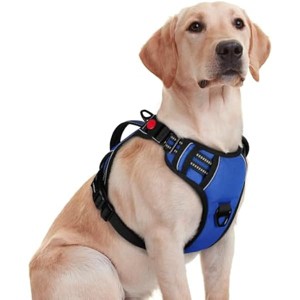 rabbitgoo Dog Harness for Large Dogs, , , Easy Walking Harness with 2 Leash Clips, Blue, M - 1 of 1