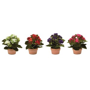 Melrose Potted Kalanchoe Flower (Set of 4) - 1 of 4