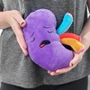 Attatoy Plush Kidney, Stuffed Body Organ Toy; Get Well Gift, Health Education and More - 2 of 4