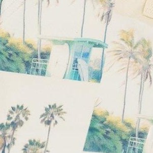 beige palm tree and teal