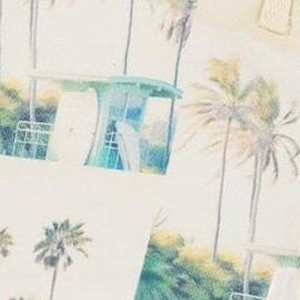 beige palm tree and teal