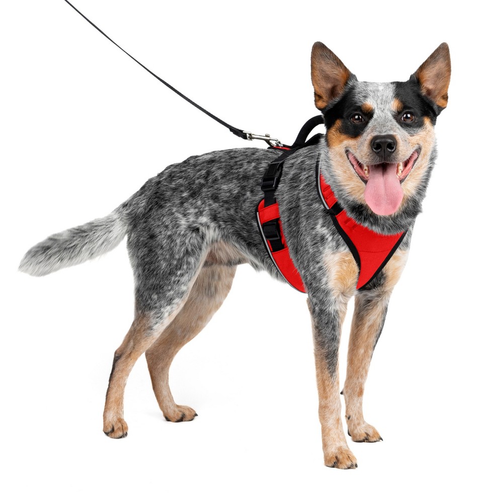 Photos - Collar / Harnesses PetSafe EasySport Adjustable Dog Harness - M - Red 