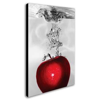 Trademark Fine Art - 22"x32" Roderick Stevens 'Red Apple Splash' Canvas Art