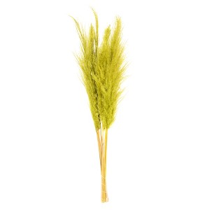 Vickerman 46" Dried Pampas Grass - 1 of 4