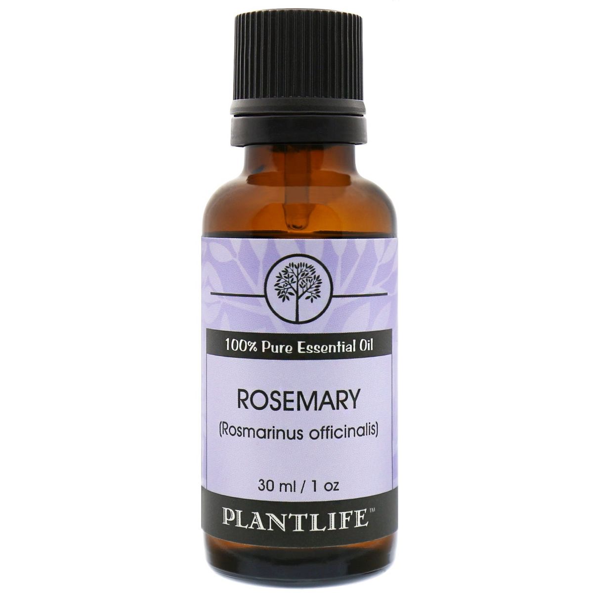 Plantlife Rosemary Essential Oil – 100% Pure & Therapeutic Grade – Natural, Undiluted & Steam-Distilled – No Additives or Fillers – Aromatherapy - thumbnail 4