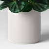 Green Leaf Plant in White Pot - Threshold™ - 4 of 4