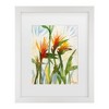 Trademark Fine Art Sheila Golden Birds of Paradise Matted Framed Art - 2 of 4
