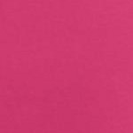 raspberry sorbet