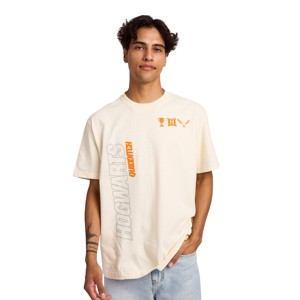 Harry Potter Hogwarts Quidditch Men's Tofu Crew Neck Short Sleeve T-shirt - 1 of 4