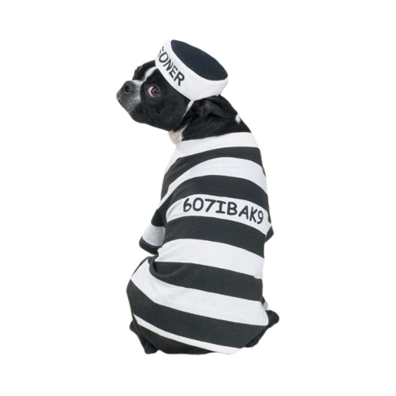 Casual Canine Prison Pooch Costume, 2 of 5