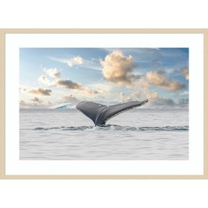 Amanti Art Antarctica Whale Tail III by Richard Silver Wood Framed Wall Art Print - 1 of 4